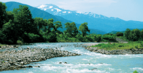 立谷沢川の水の効果