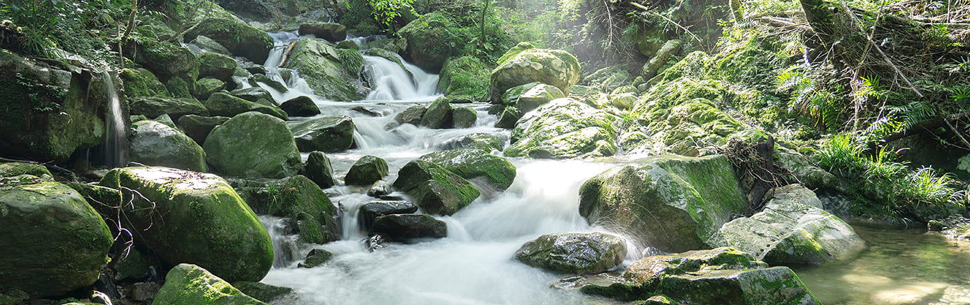 木曽川源流の里 水木沢の自然水「KISO 木曽の湧水」｜ 効果・口コミ・販売元・水質データ